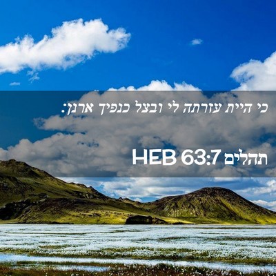 Picture 02 - תהלים 63:7 HEB - כי היית עזרתה לי ובצל כנפיך - Bible Verse Picture
