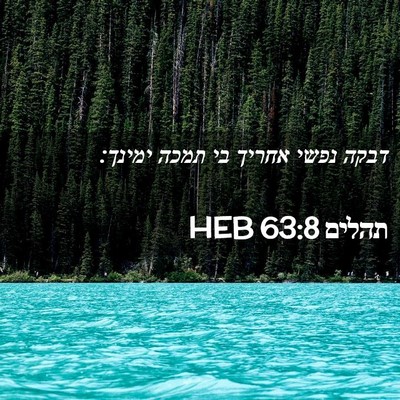 Picture 02 - תהלים 63:8 HEB - דבקה נפשי אחריך בי תמכה - Bible Verse Picture