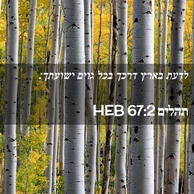 Picture 02 - תהלים 67:2 HEB - לדעת בארץ דרכך בכל גוים - Bible Verse Picture