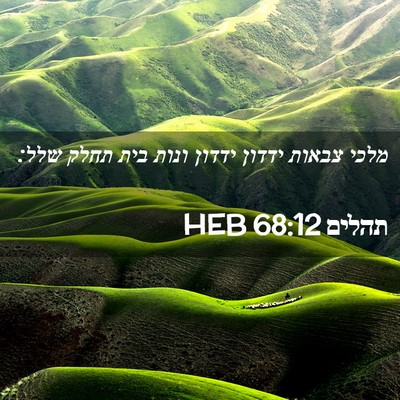 Picture 02 - תהלים 68:12 HEB - מלכי צבאות ידדון ידדון - Bible Verse Picture