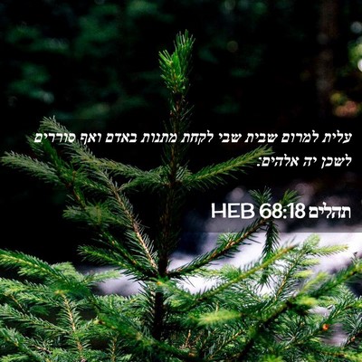 Picture 02 - תהלים 68:18 HEB - עלית למרום שבית שבי לקחת - Bible Verse Picture