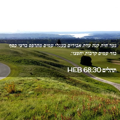 Picture 02 - תהלים 68:30 HEB - גער חית קנה עדת אבירים - Bible Verse Picture