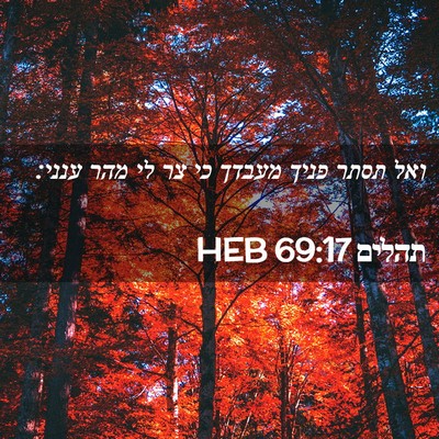Picture 02 - תהלים 69:17 HEB - ואל תסתר פניך מעבדך כי צר - Bible Verse Picture