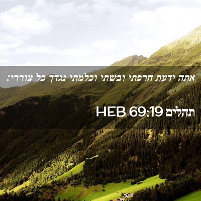 Picture 02 - תהלים 69:19 HEB - אתה ידעת חרפתי ובשתי - Bible Verse Picture