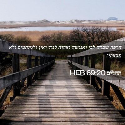 Picture 02 - תהלים 69:20 HEB - חרפה שברה לבי ואנושה ואקוה - Bible Verse Picture