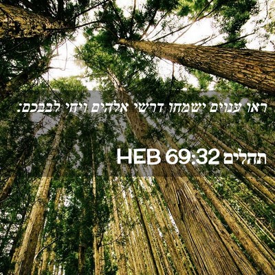 Picture 02 - תהלים 69:32 HEB - ראו ענוים ישמחו דרשי אלהים - Bible Verse Picture