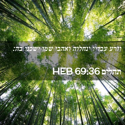 Picture 02 - תהלים 69:36 HEB - וזרע עבדיו ינחלוה ואהבי - Bible Verse Picture