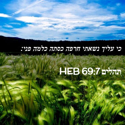 Picture 02 - תהלים 69:7 HEB - כי עליך נשאתי חרפה כסתה - Bible Verse Picture