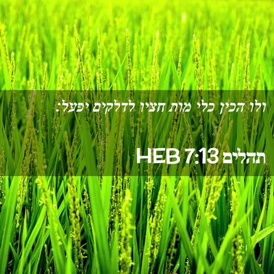 Picture 02 - תהלים 7:13 HEB - ולו הכין כלי מות חציו - Bible Verse Picture
