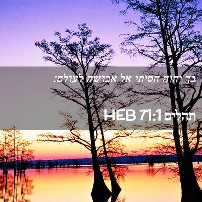 Picture 02 - תהלים 71:1 HEB - בך יהוה חסיתי אל אבושה - Bible Verse Picture