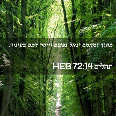 Picture 02 - תהלים 72:14 HEB - מתוך ומחמס יגאל נפשם וייקר - Bible Verse Picture