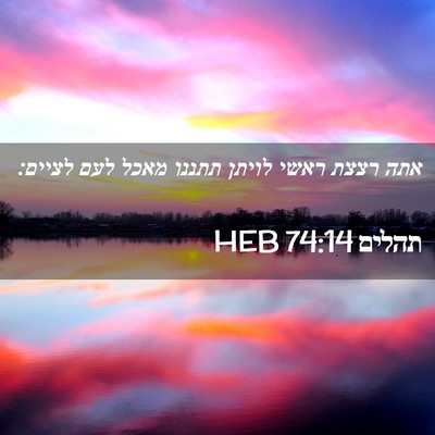 Picture 02 - תהלים 74:14 HEB - אתה רצצת ראשי לויתן תתננו - Bible Verse Picture