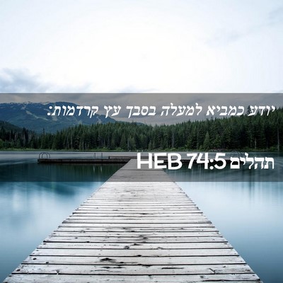 Picture 02 - תהלים 74:5 HEB - יודע כמביא למעלה בסבך עץ - Bible Verse Picture