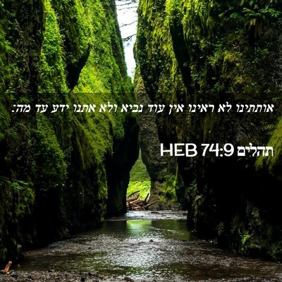 Picture 02 - תהלים 74:9 HEB - אותתינו לא ראינו אין עוד - Bible Verse Picture