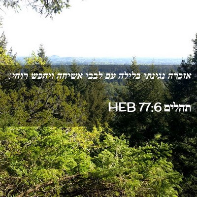 Picture 02 - תהלים 77:6 HEB - אזכרה נגינתי בלילה עם לבבי - Bible Verse Picture
