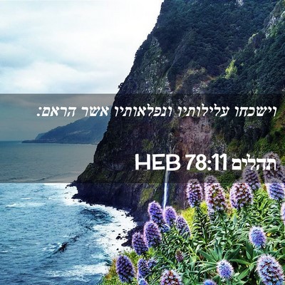 Picture 02 - תהלים 78:11 HEB - וישכחו עלילותיו ונפלאותיו - Bible Verse Picture