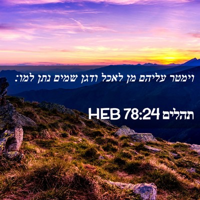 Picture 02 - תהלים 78:24 HEB - וימטר עליהם מן לאכל ודגן - Bible Verse Picture