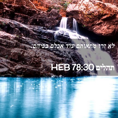 Picture 02 - תהלים 78:30 HEB - לא זרו מתאותם עוד אכלם - Bible Verse Picture