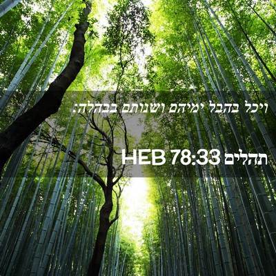 Picture 02 - תהלים 78:33 HEB - ויכל בהבל ימיהם ושנותם - Bible Verse Picture