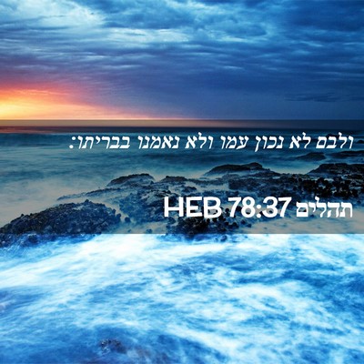 Picture 02 - תהלים 78:37 HEB - ולבם לא נכון עמו ולא נאמנו - Bible Verse Picture
