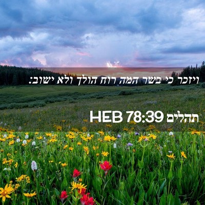 Picture 02 - תהלים 78:39 HEB - ויזכר כי בשר המה רוח הולך - Bible Verse Picture