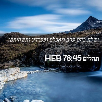 Picture 02 - תהלים 78:45 HEB - ישלח בהם ערב ויאכלם וצפרדע - Bible Verse Picture