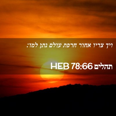 Picture 02 - תהלים 78:66 HEB - ויך צריו אחור חרפת עולם נתן - Bible Verse Picture