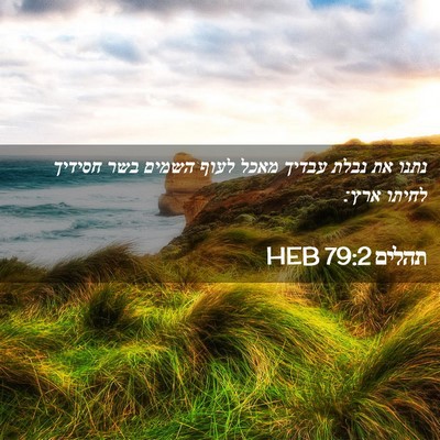 Picture 02 - תהלים 79:2 HEB - נתנו את נבלת עבדיך מאכל - Bible Verse Picture