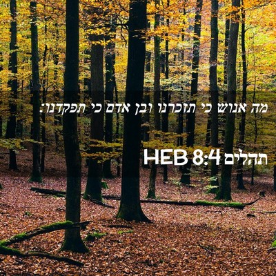 Picture 02 - תהלים 8:4 HEB - מה אנוש כי תזכרנו ובן אדם - Bible Verse Picture