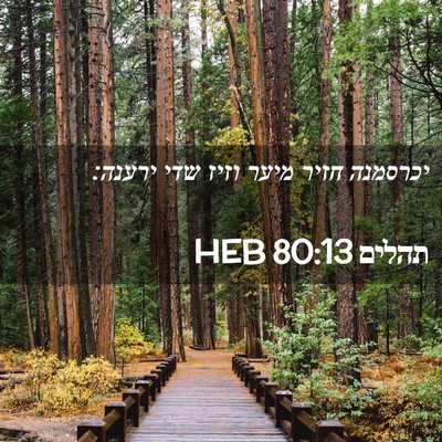 Picture 02 - תהלים 80:13 HEB - יכרסמנה חזיר מיער וזיז שדי - Bible Verse Picture
