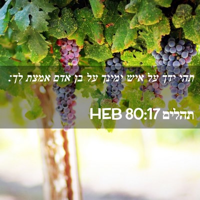 Picture 02 - תהלים 80:17 HEB - תהי ידך על איש ימינך על בן - Bible Verse Picture