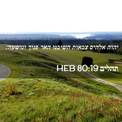 Picture 02 - תהלים 80:19 HEB - יהוה אלהים צבאות השיבנו - Bible Verse Picture
