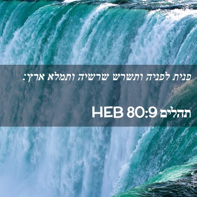 Picture 02 - תהלים 80:9 HEB - פנית לפניה ותשרש שרשיה - Bible Verse Picture