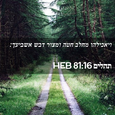 Picture 02 - תהלים 81:16 HEB - ויאכילהו מחלב חטה ומצור - Bible Verse Picture