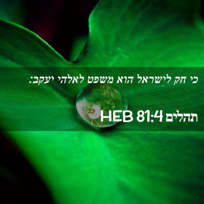Picture 02 - תהלים 81:4 HEB - כי חק לישראל הוא משפט לאלהי - Bible Verse Picture