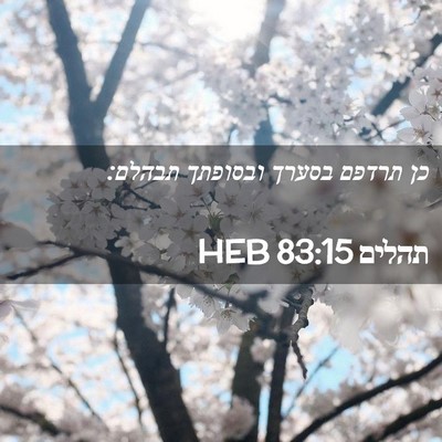 Picture 02 - תהלים 83:15 HEB - כן תרדפם בסערך ובסופתך - Bible Verse Picture
