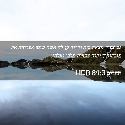 Picture 02 - תהלים 84:3 HEB - גם צפור מצאה בית ודרור קן - Bible Verse Picture