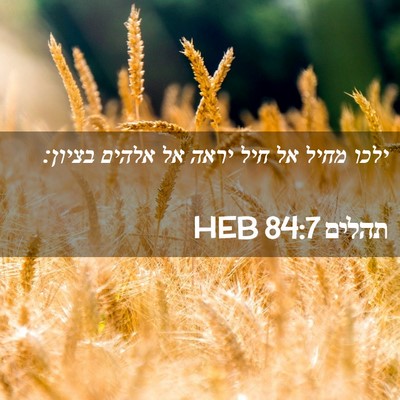 Picture 02 - תהלים 84:7 HEB - ילכו מחיל אל חיל יראה אל - Bible Verse Picture