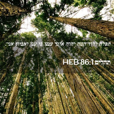 Picture 02 - תהלים 86:1 HEB - תפלה לדוד הטה יהוה אזנך - Bible Verse Picture