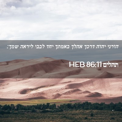 Picture 02 - תהלים 86:11 HEB - הורני יהוה דרכך אהלך באמתך - Bible Verse Picture