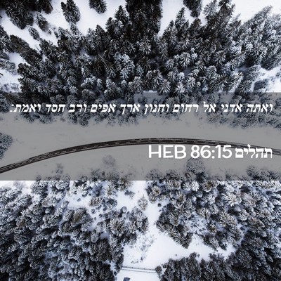 Picture 02 - תהלים 86:15 HEB - ואתה אדני אל רחום וחנון ארך - Bible Verse Picture