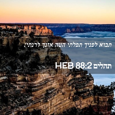Picture 02 - תהלים 88:2 HEB - תבוא לפניך תפלתי הטה אזנך - Bible Verse Picture