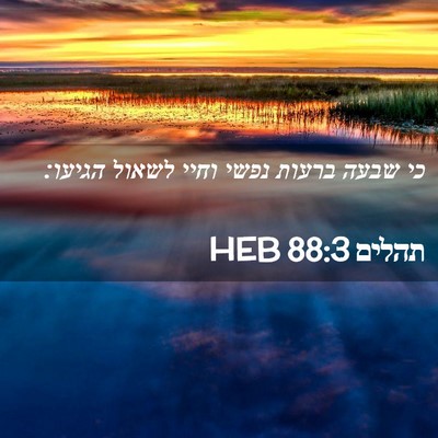 Picture 02 - תהלים 88:3 HEB - כי שבעה ברעות נפשי וחיי - Bible Verse Picture