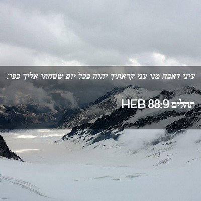 Picture 02 - תהלים 88:9 HEB - עיני דאבה מני עני קראתיך - Bible Verse Picture