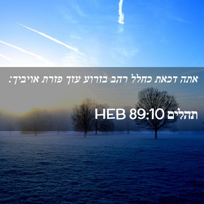Picture 02 - תהלים 89:10 HEB - אתה דכאת כחלל רהב בזרוע עזך - Bible Verse Picture