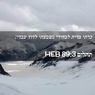 Picture 02 - תהלים 89:3 HEB - כרתי ברית לבחירי נשבעתי - Bible Verse Picture