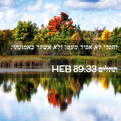 Picture 02 - תהלים 89:33 HEB - וחסדי לא אפיר מעמו ולא אשקר - Bible Verse Picture