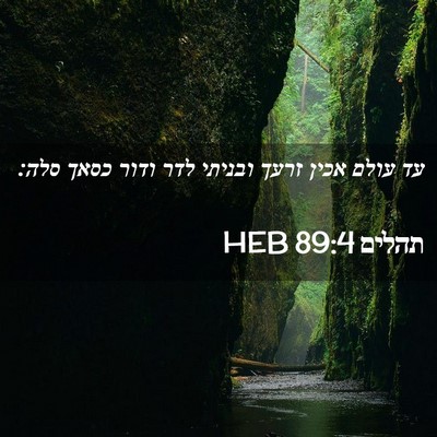 Picture 02 - תהלים 89:4 HEB - עד עולם אכין זרעך ובניתי - Bible Verse Picture