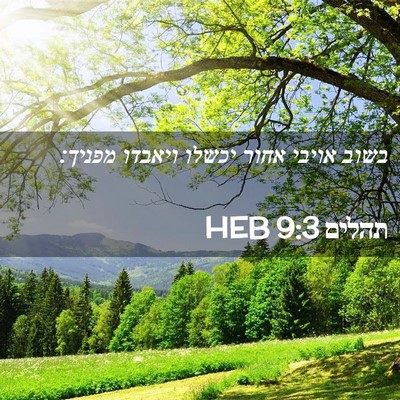 Picture 02 - תהלים 9:3 HEB - בשוב אויבי אחור יכשלו - Bible Verse Picture