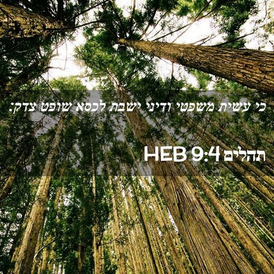 Picture 02 - תהלים 9:4 HEB - כי עשית משפטי ודיני ישבת - Bible Verse Picture
